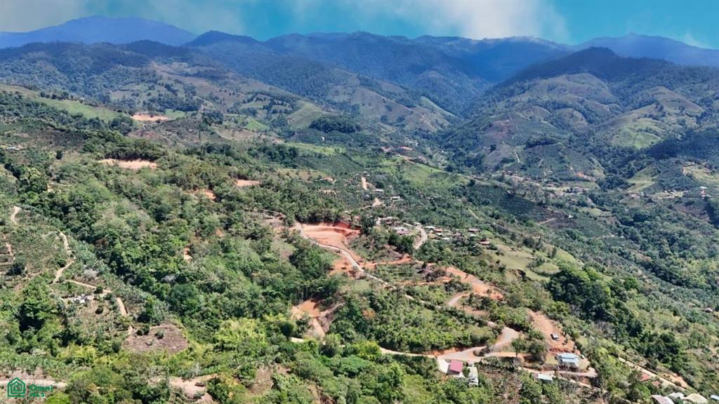 Finca 42 acres