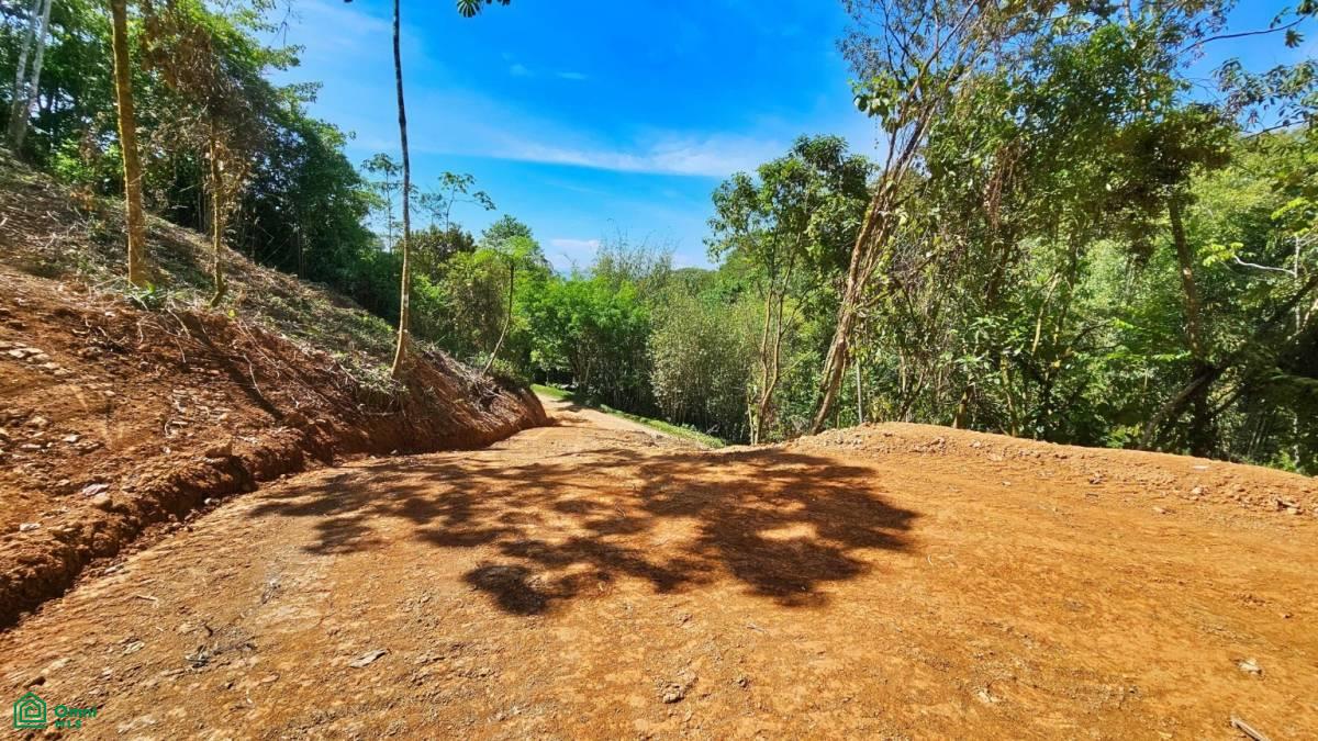 Finca 42 acres
