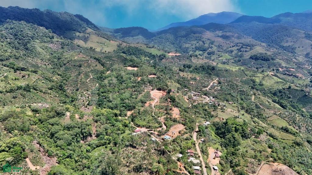 Finca 42 acres