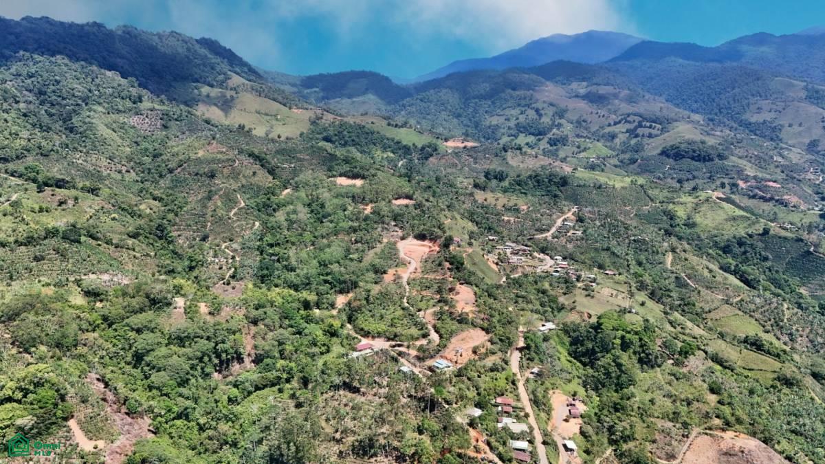 Finca 42 acres
