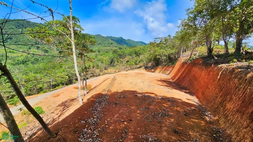 Finca 42 acres