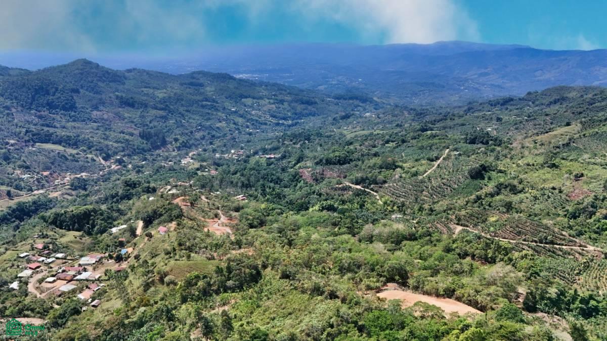 Finca 42 acres