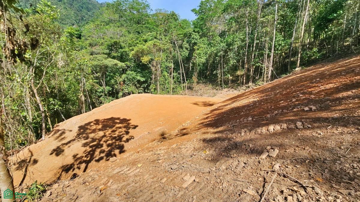 Finca 42 acres