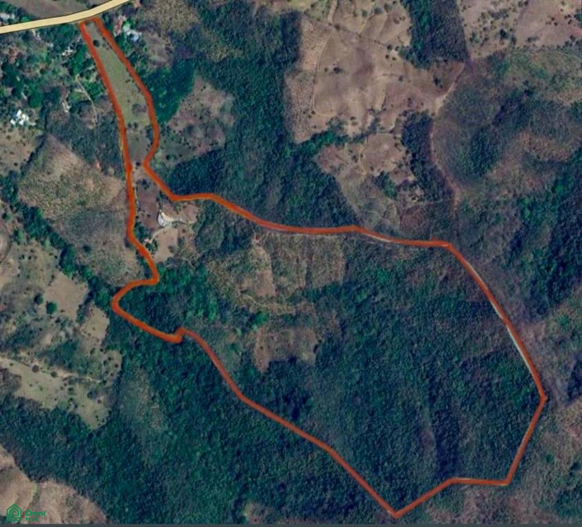 189 Acre Finca "Luna y Sol" / Caimital , Sámara, Guanacaste