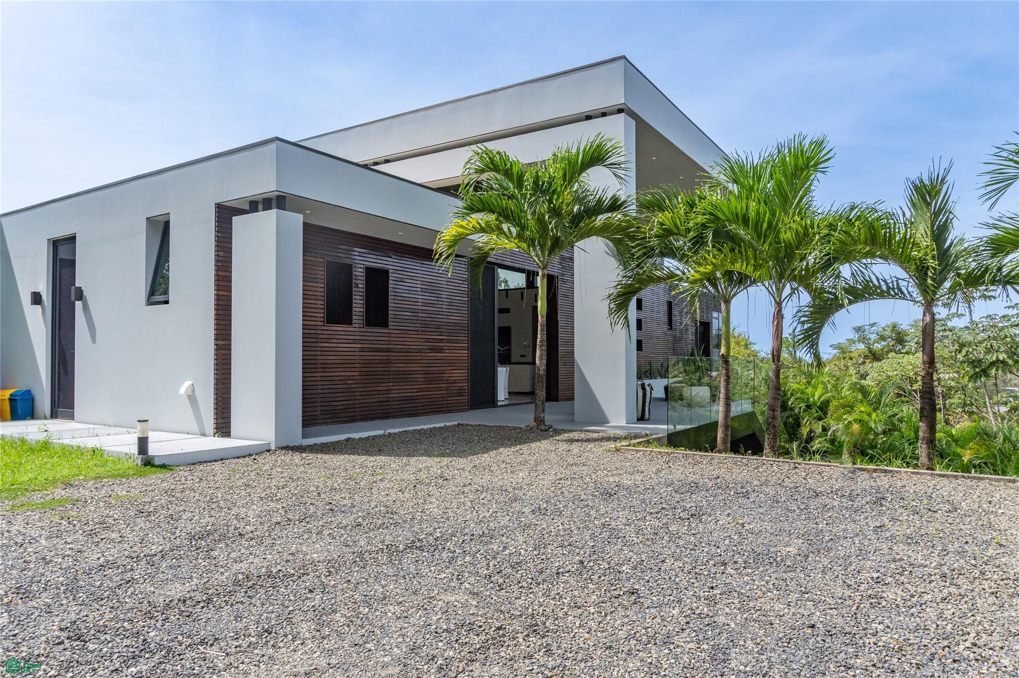 Black Beauty | Ostional, Cuajiniquil, Guanacaste