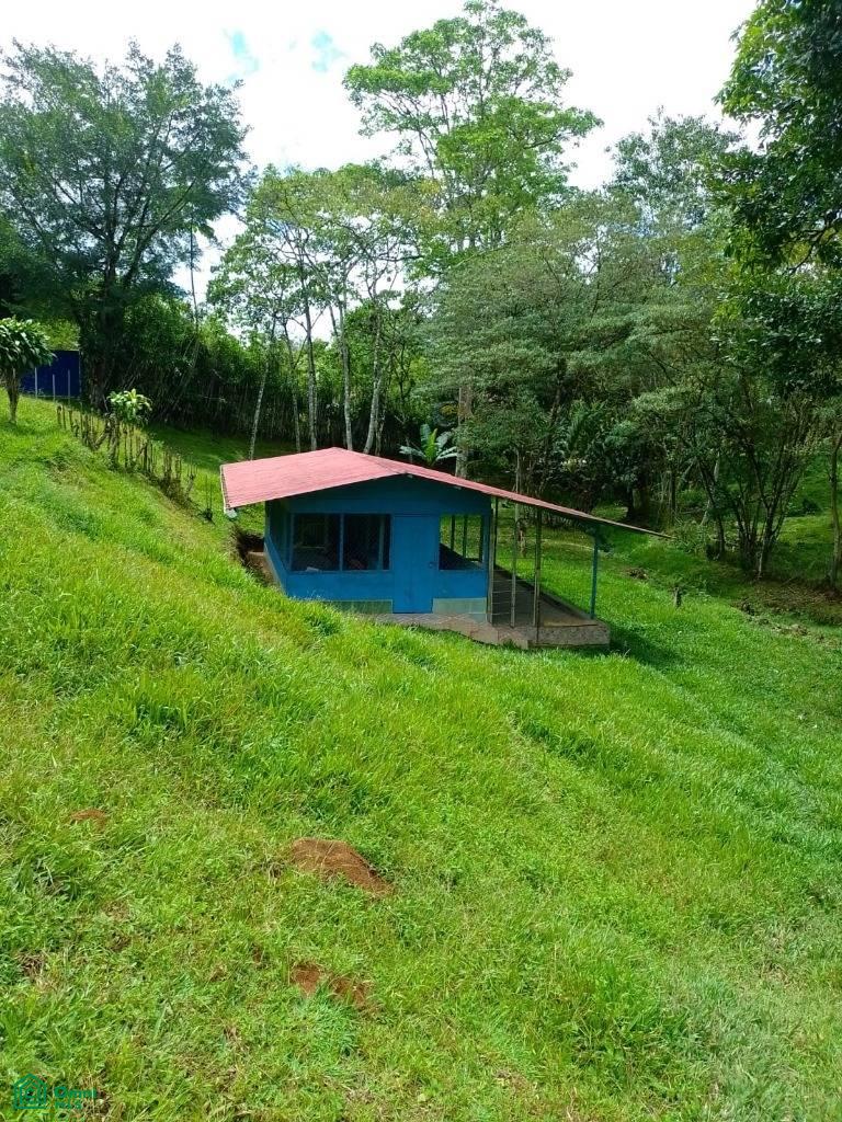 Santa Cecilia , San Vito, Coto Brus, Puntarenas