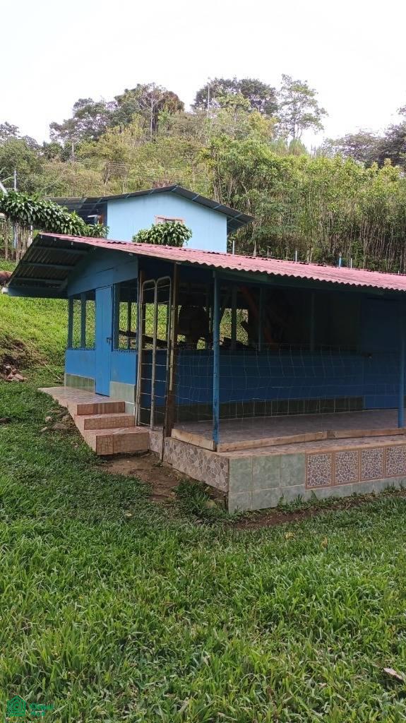 Santa Cecilia , San Vito, Coto Brus, Puntarenas