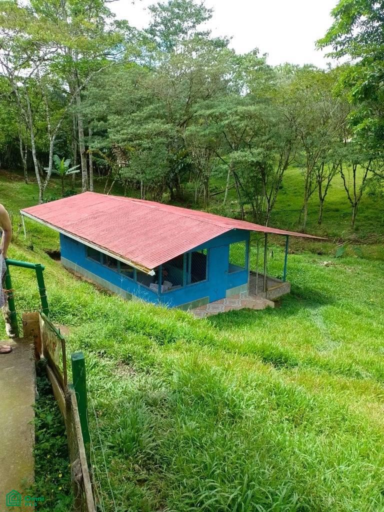 Santa Cecilia , San Vito, Coto Brus, Puntarenas