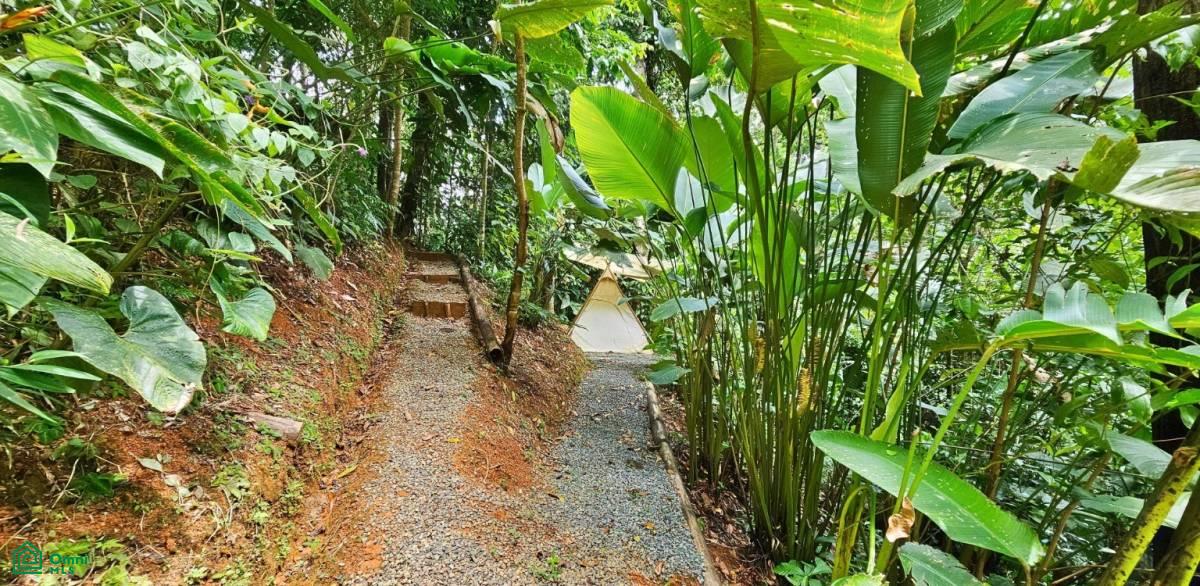 Soulful Jungle Retreat near Dominical – A Sanctuary for Visionaries , Barú, Perez Zeledon, San Jose