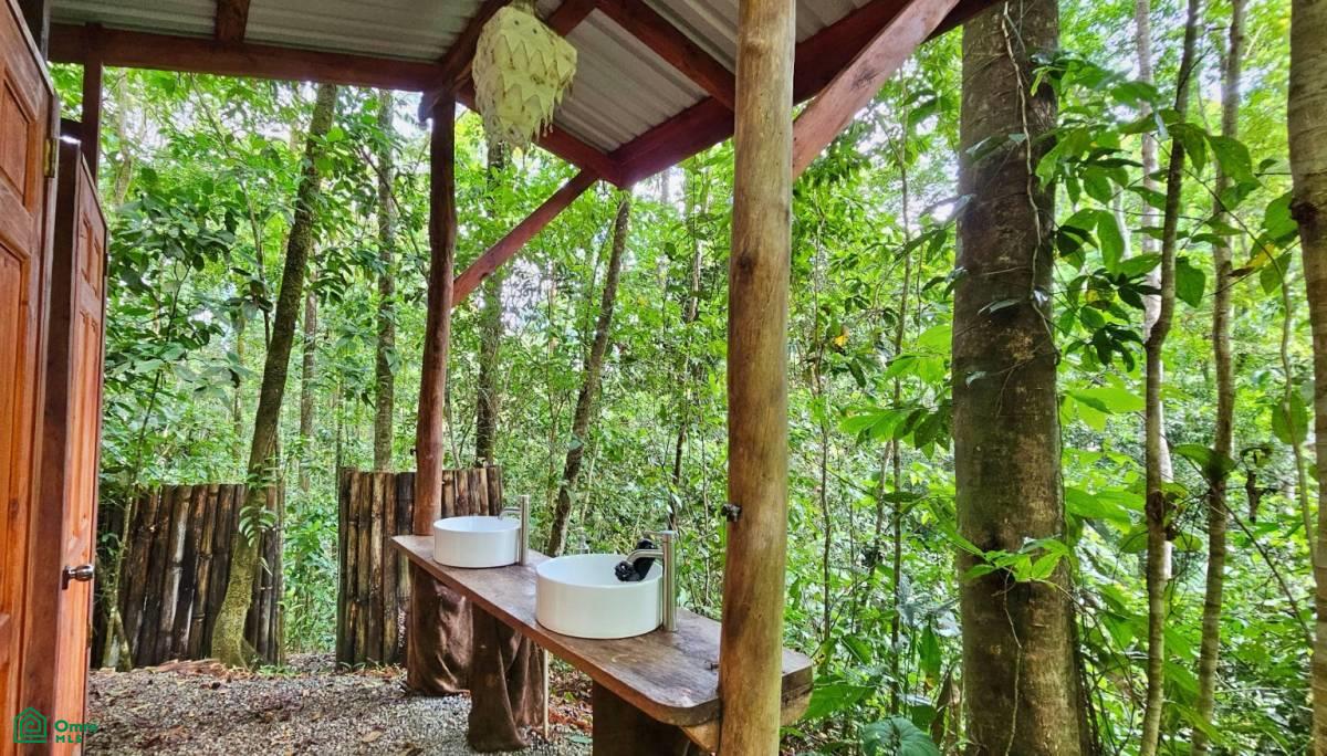Soulful Jungle Retreat near Dominical – A Sanctuary for Visionaries , Barú, Perez Zeledon, San Jose