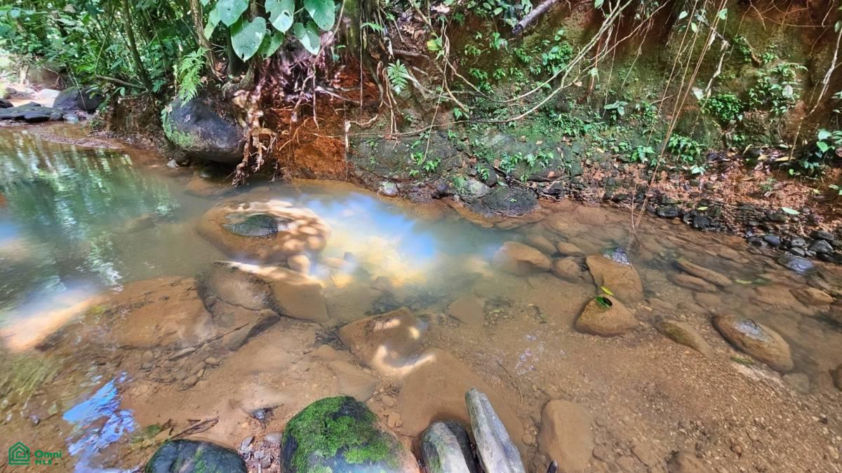 Soulful Jungle Retreat near Dominical – A Sanctuary for Visionaries , Barú, Perez Zeledon, San Jose