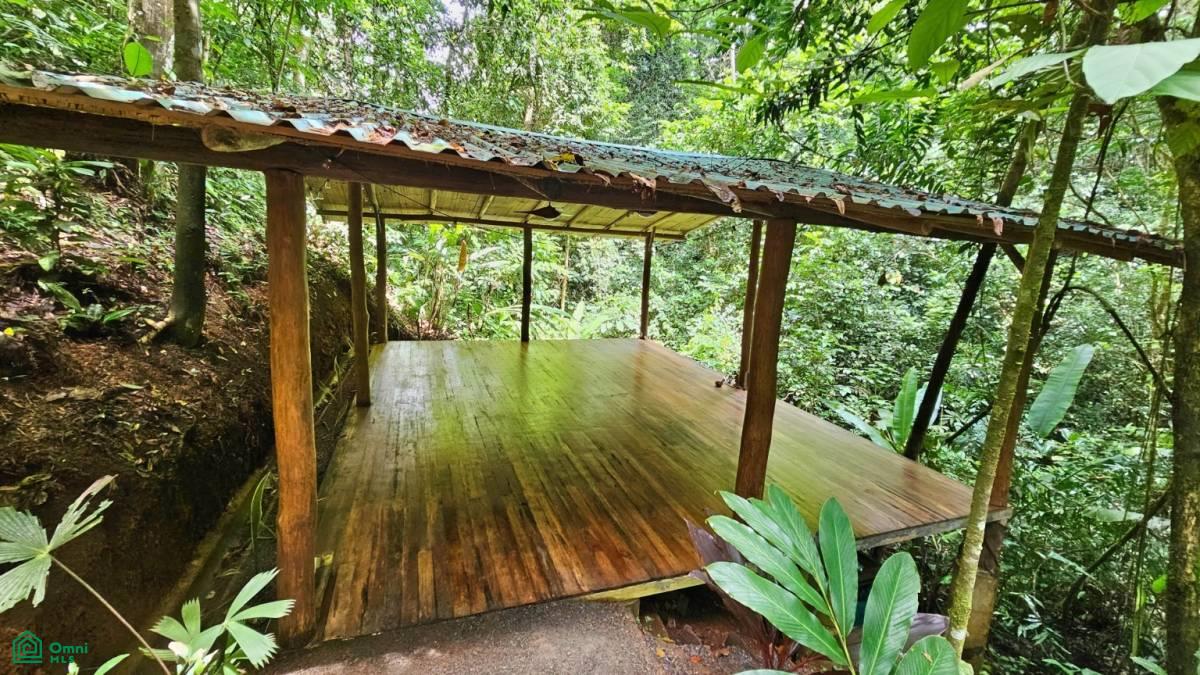 Soulful Jungle Retreat near Dominical – A Sanctuary for Visionaries , Barú, Perez Zeledon, San Jose