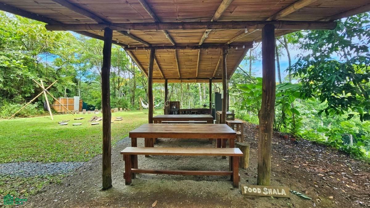 Soulful Jungle Retreat near Dominical – A Sanctuary for Visionaries , Barú, Perez Zeledon, San Jose