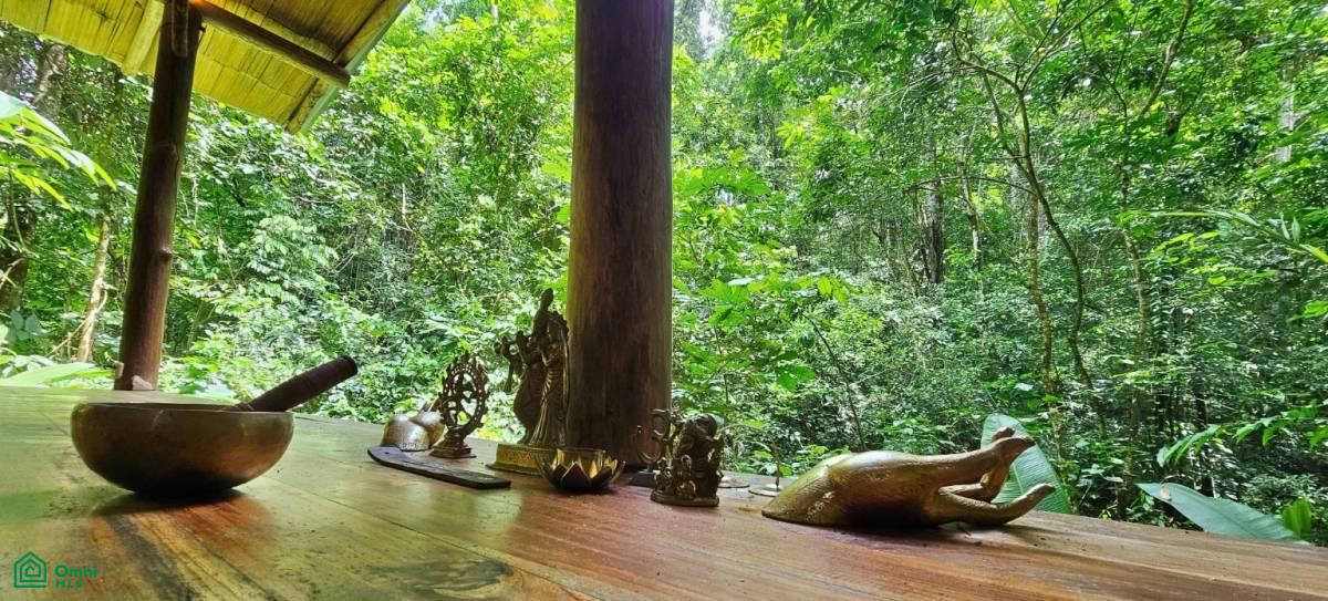 Soulful Jungle Retreat near Dominical – A Sanctuary for Visionaries , Barú, Perez Zeledon, San Jose