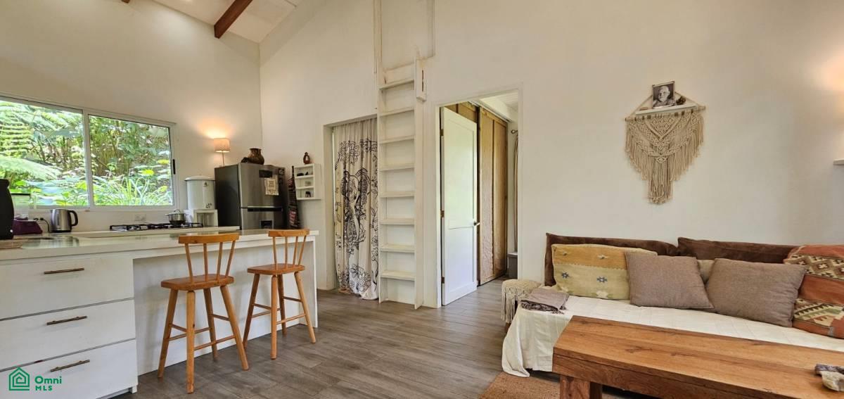 Soulful Jungle Retreat near Dominical – A Sanctuary for Visionaries , Barú, Perez Zeledon, San Jose