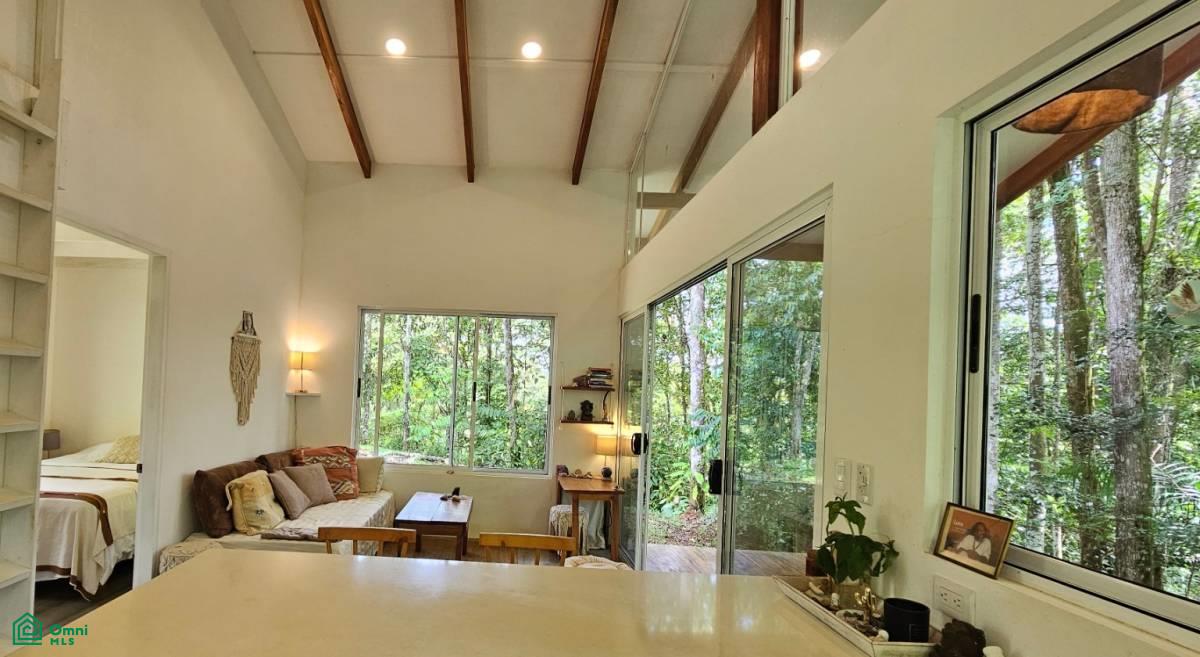 Soulful Jungle Retreat near Dominical – A Sanctuary for Visionaries , Barú, Perez Zeledon, San Jose