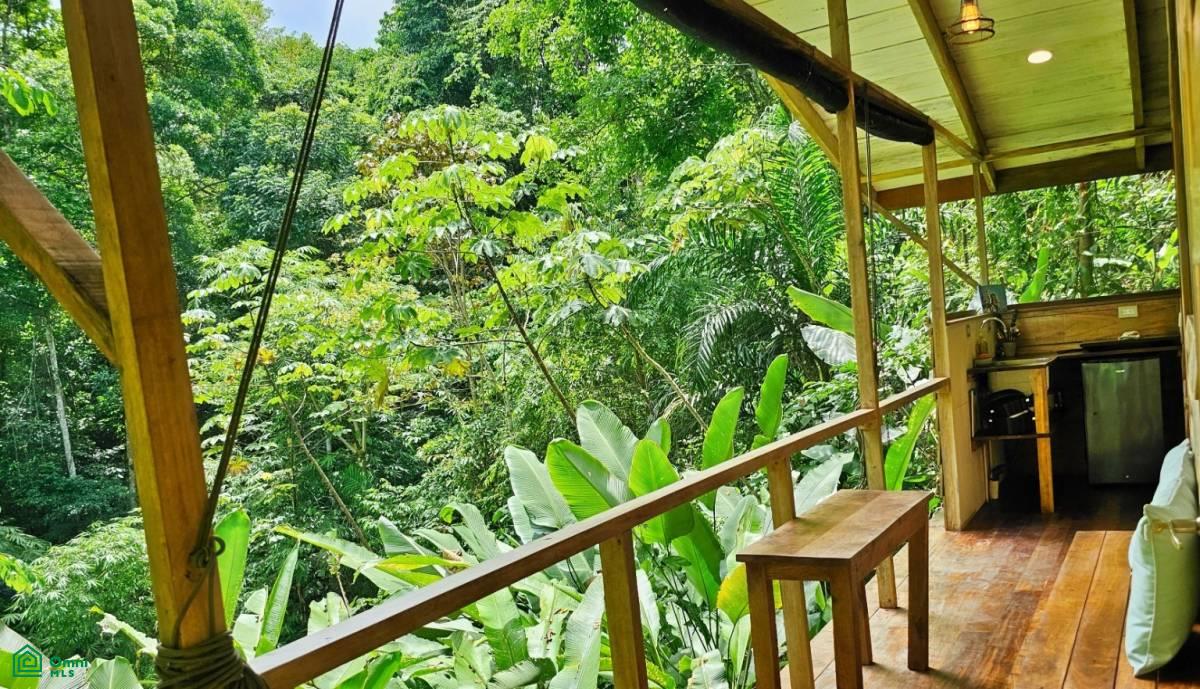 Soulful Jungle Retreat near Dominical – A Sanctuary for Visionaries , Barú, Perez Zeledon, San Jose