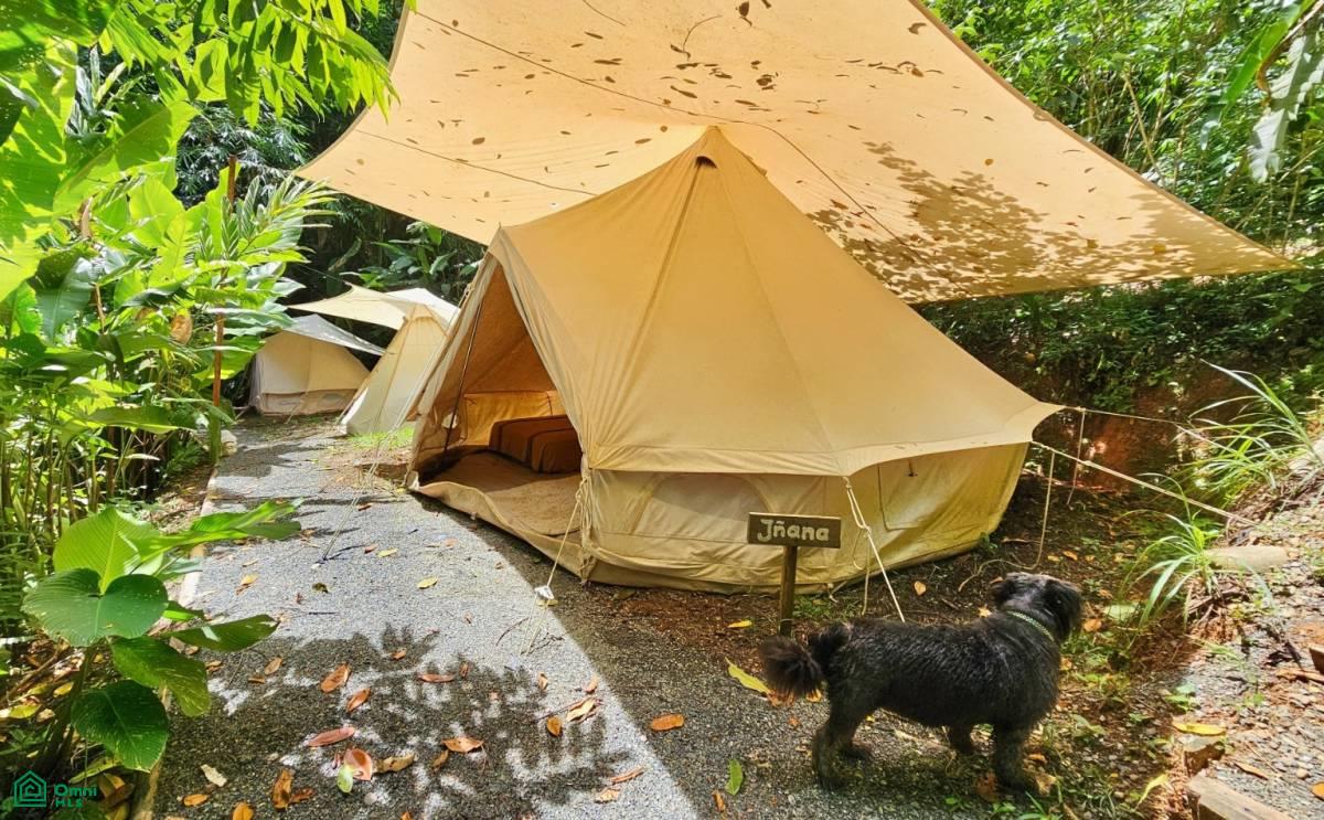 Soulful Jungle Retreat near Dominical – A Sanctuary for Visionaries , Barú, Perez Zeledon, San Jose