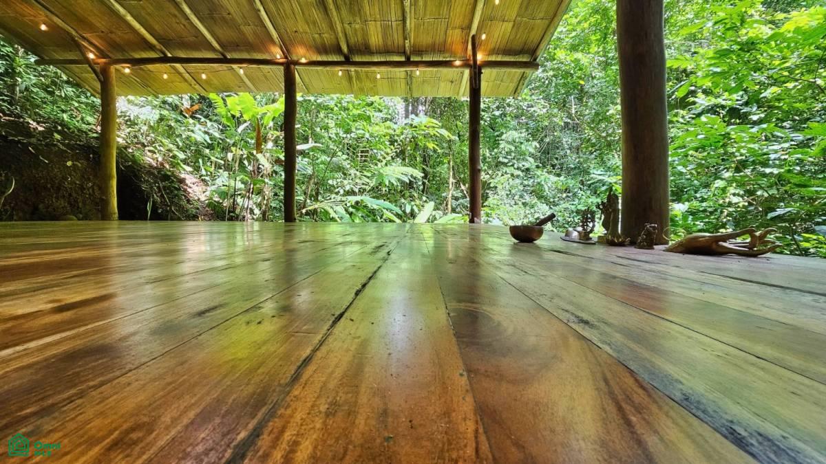 Soulful Jungle Retreat near Dominical – A Sanctuary for Visionaries , Barú, Perez Zeledon, San Jose