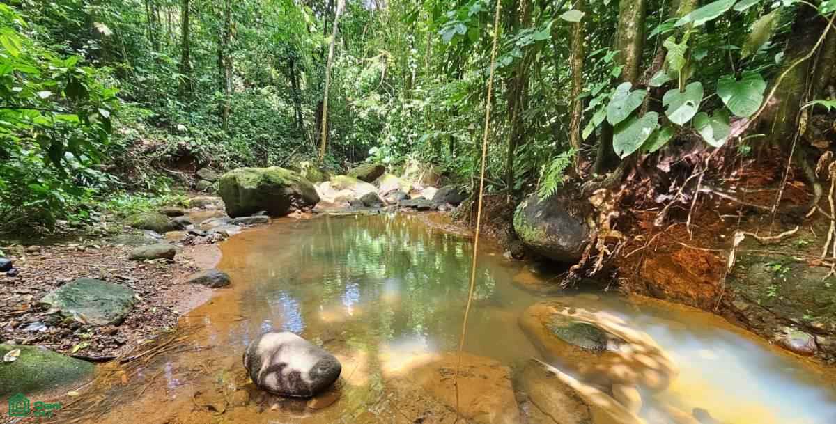 Soulful Jungle Retreat near Dominical – A Sanctuary for Visionaries , Barú, Perez Zeledon, San Jose