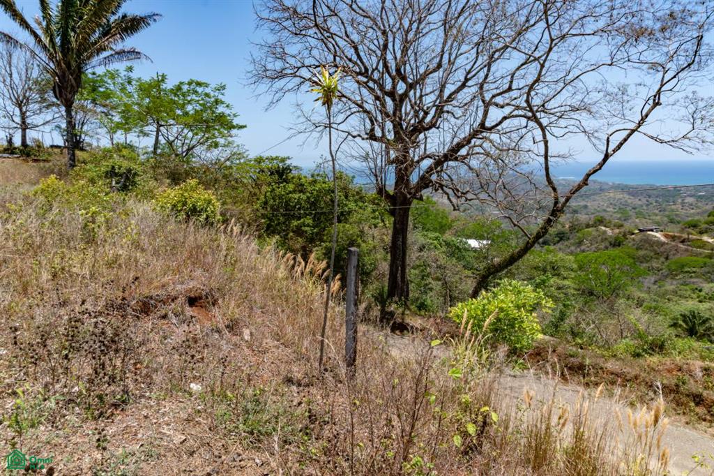 Nosara Estates - Lot 28 Vista Mariposa