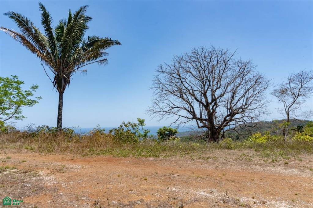 Nosara Estates - Lot 28 Vista Mariposa