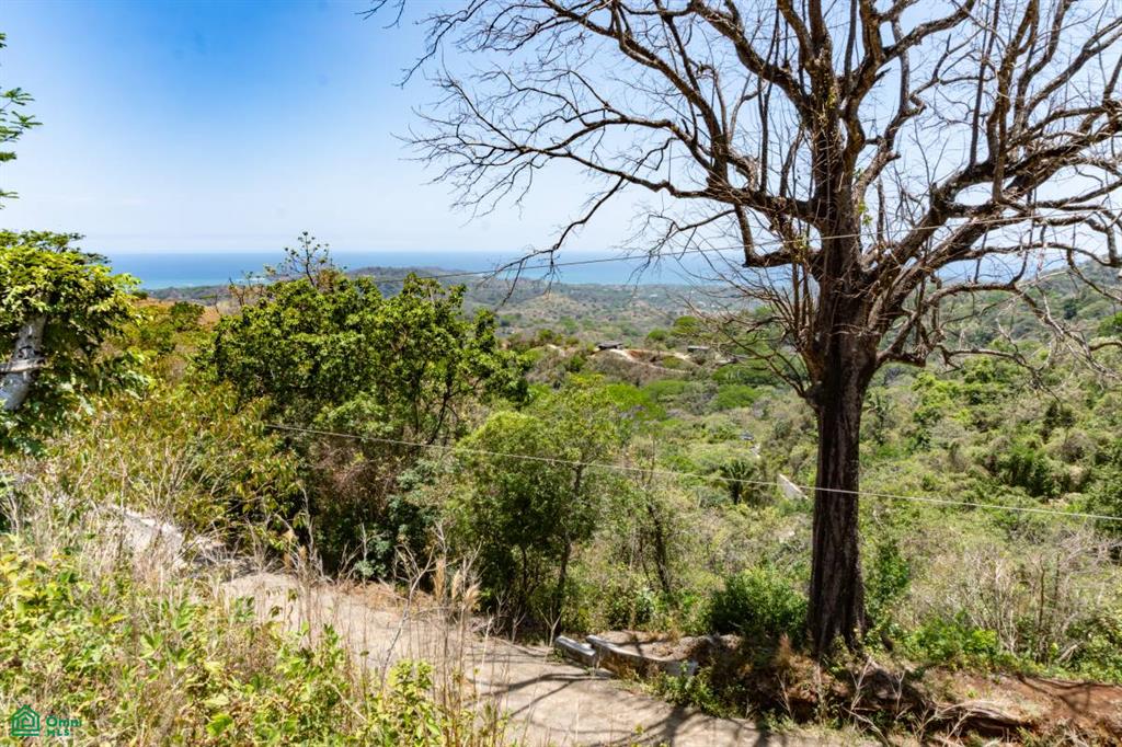 Nosara Estates - Lot 28 Vista Mariposa