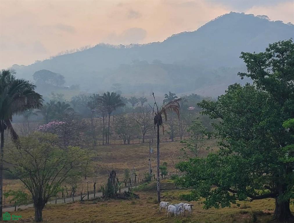 Valley Vista Finca, Calle Cascada Belen , Belén de Nosarita, Guanacaste