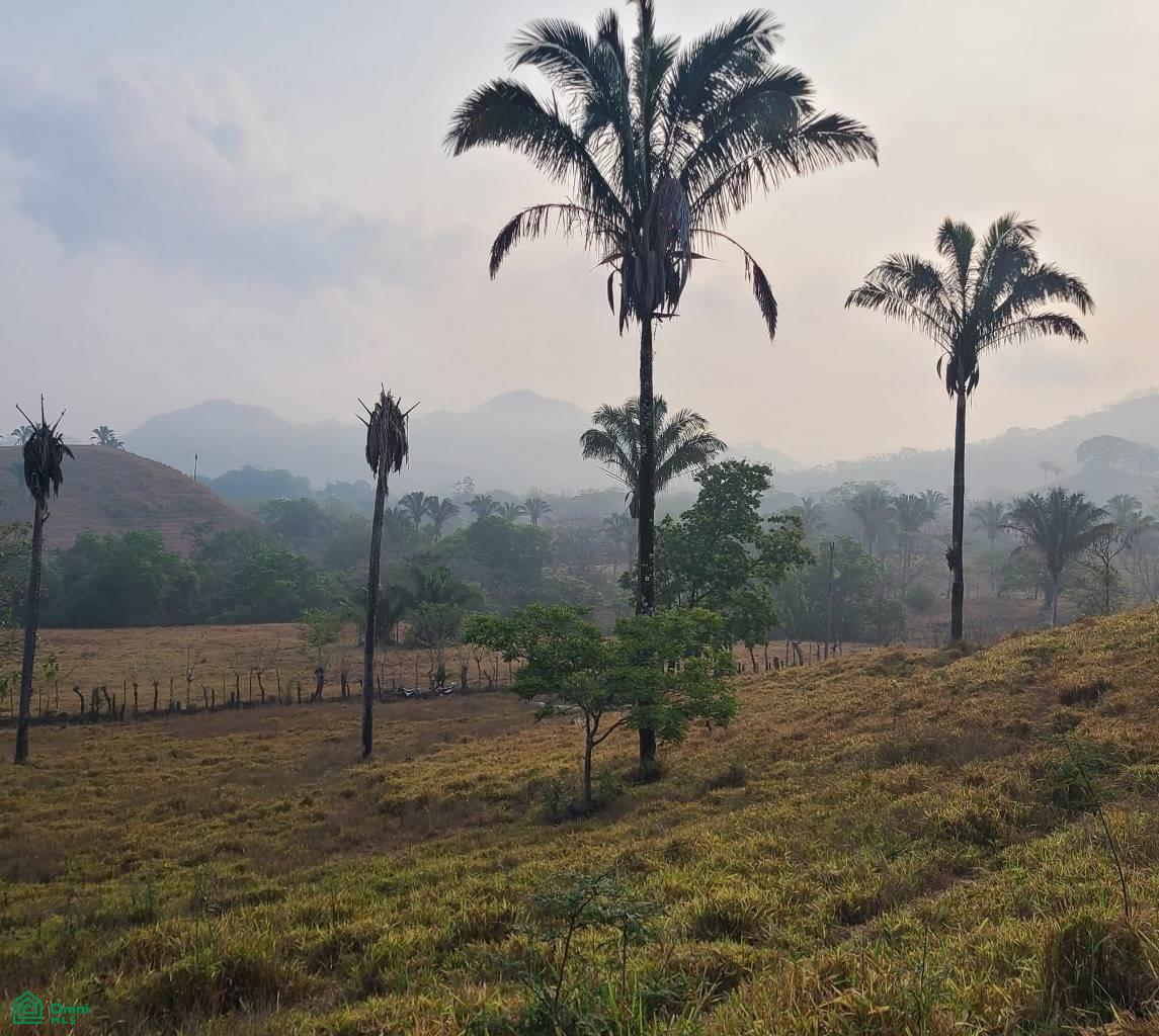 Valley Vista Lote, Calle Cascada Belen , Belén de Nosarita, Guanacaste