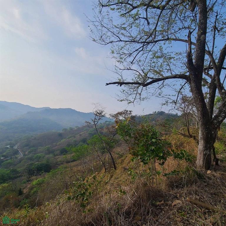 Prestige Finca in Cuesta Grande - 60 Ha