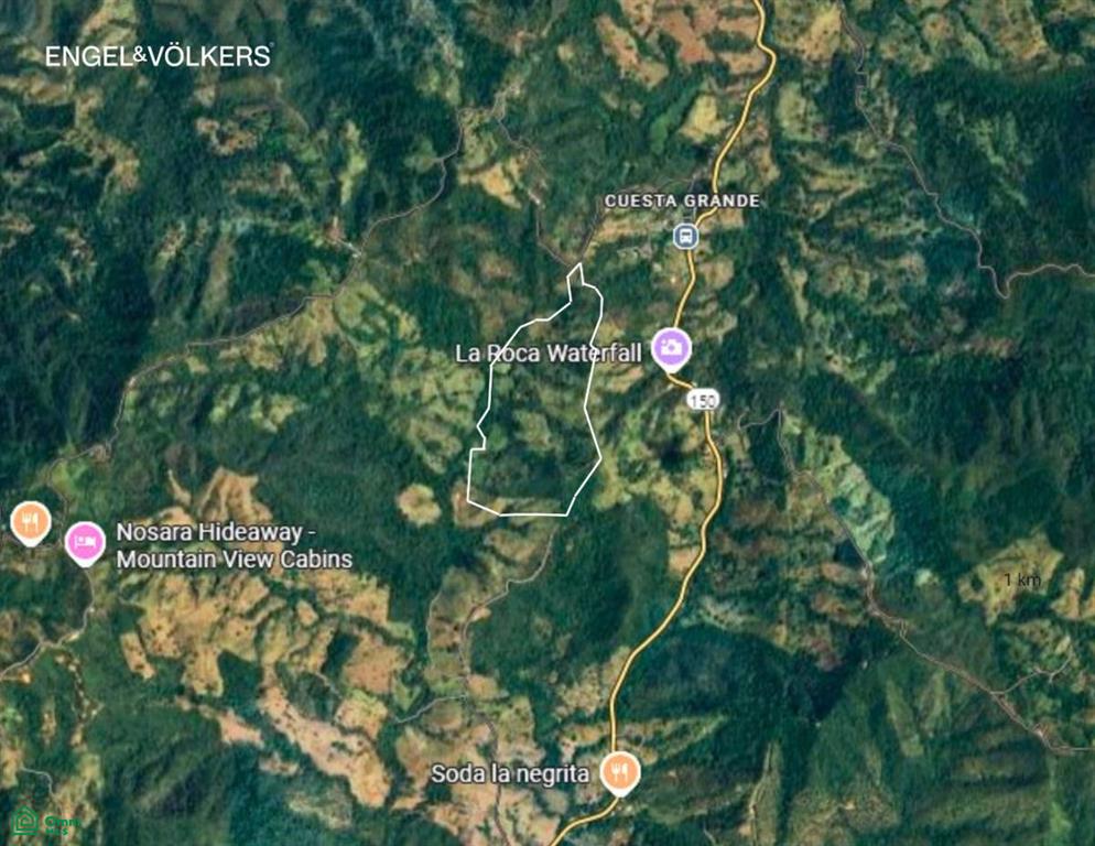 Prestige Finca in Cuesta Grande - 60 Ha