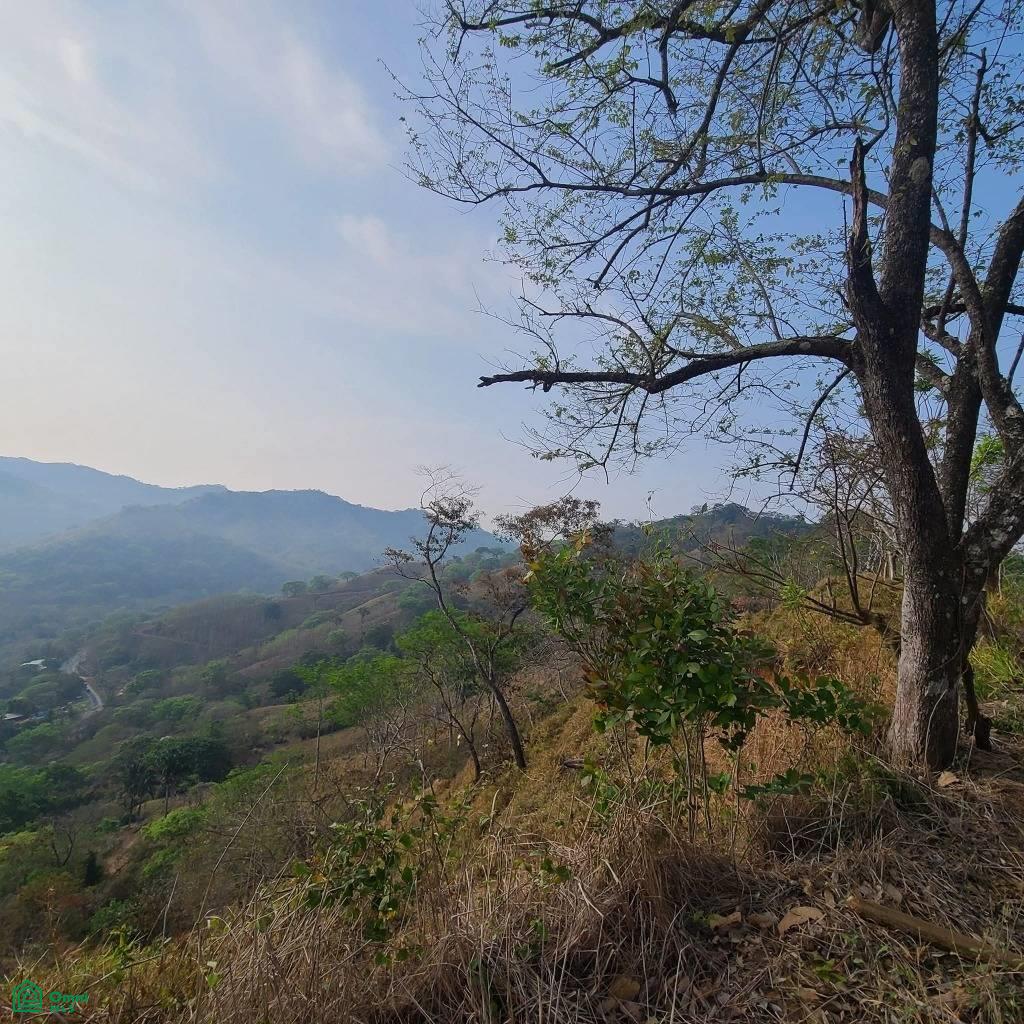 Prestige Finca in Cuesta Grande - 60 Ha