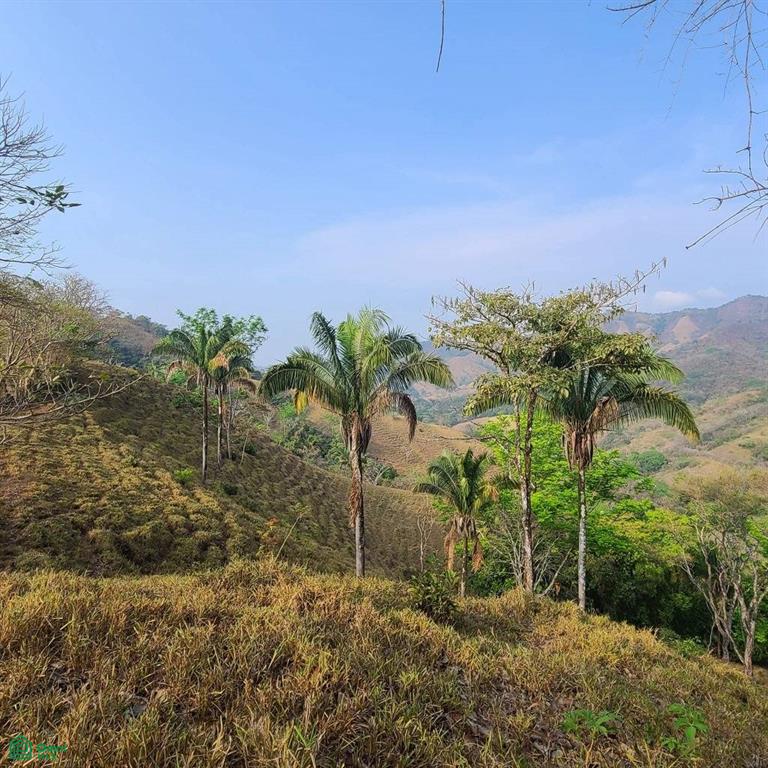 Prestige Finca in Cuesta Grande - 60 Ha