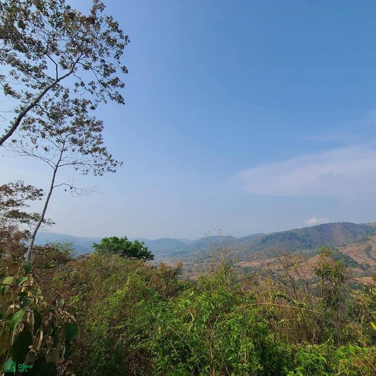 Prestige Finca in Cuesta Grande - 60 Ha