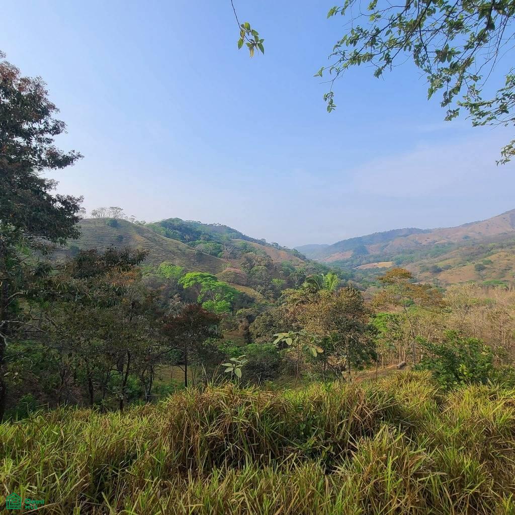 Prestige Finca in Cuesta Grande - 60 Ha