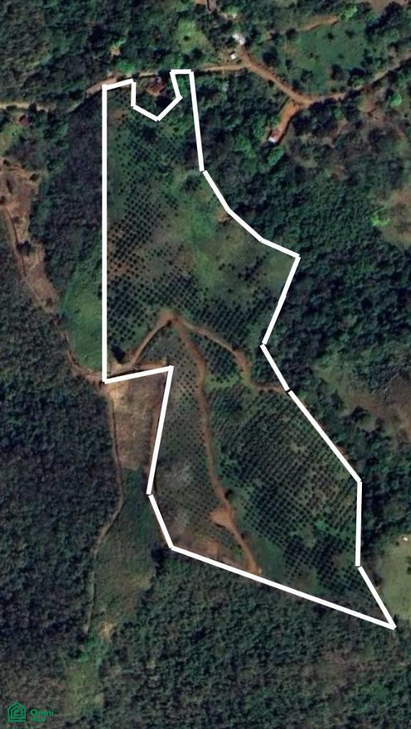 Finca Naranja 7.9 hectare