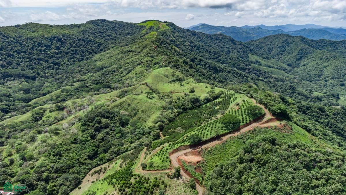 Finca Naranja 7.9 hectare