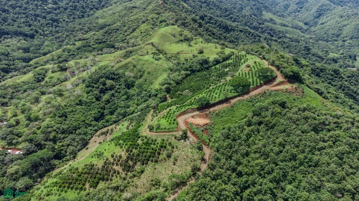Finca Naranja 7.9 hectare