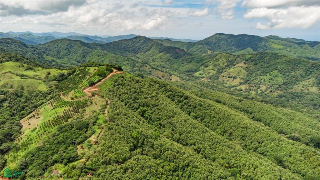 16 ha Ocean View Finca in Maquenco