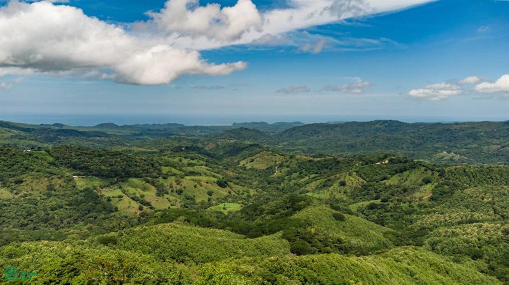 16 ha Ocean View Finca in Maquenco