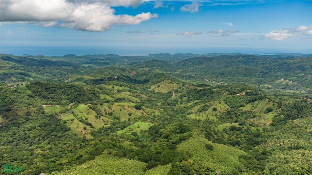 16 ha Ocean View Finca in Maquenco