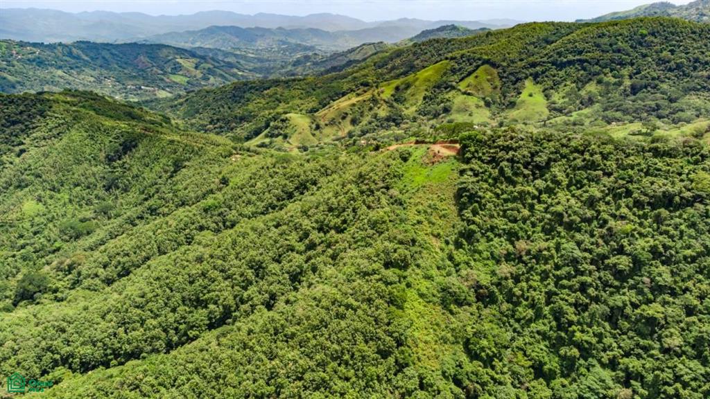 16 ha Ocean View Finca in Maquenco