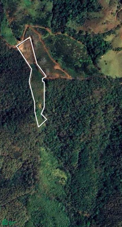 16 ha Ocean View Finca in Maquenco