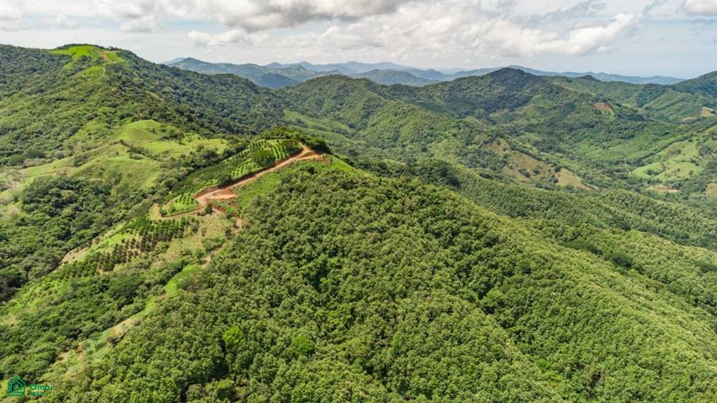 16 ha Ocean View Finca in Maquenco