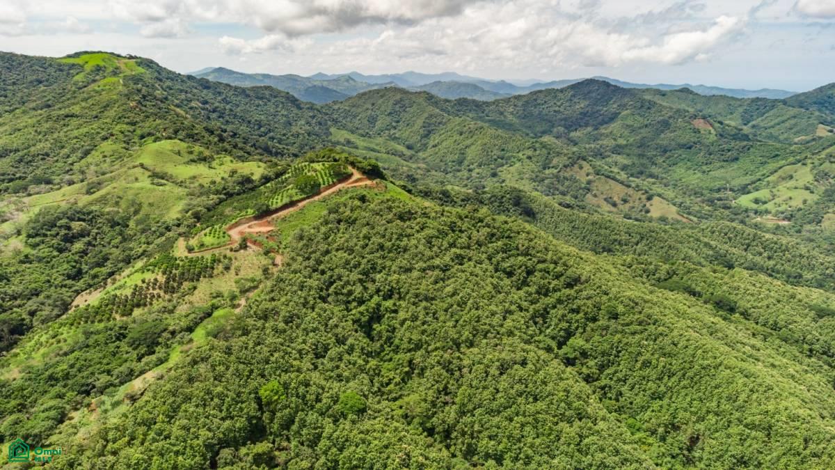 16 ha Ocean View Finca in Maquenco