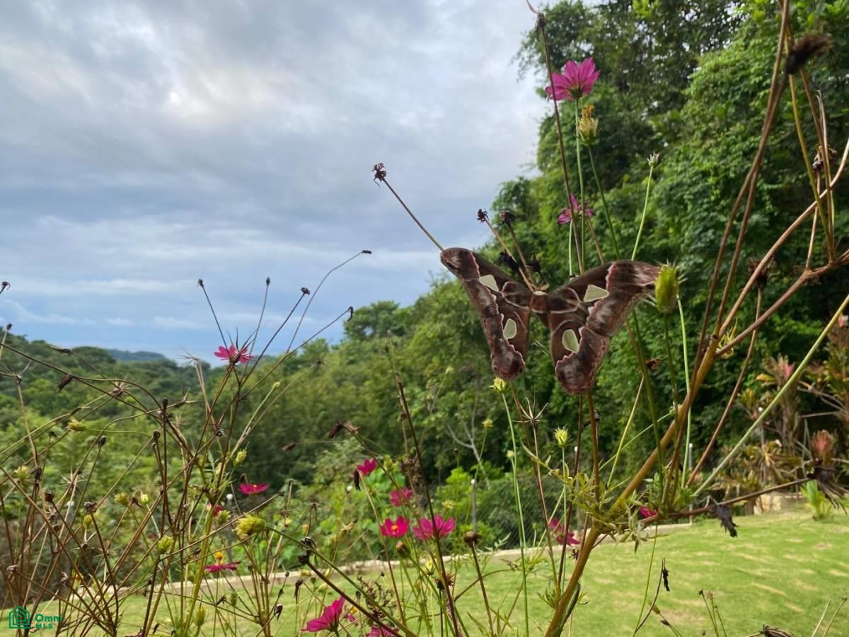 Casa Cascada