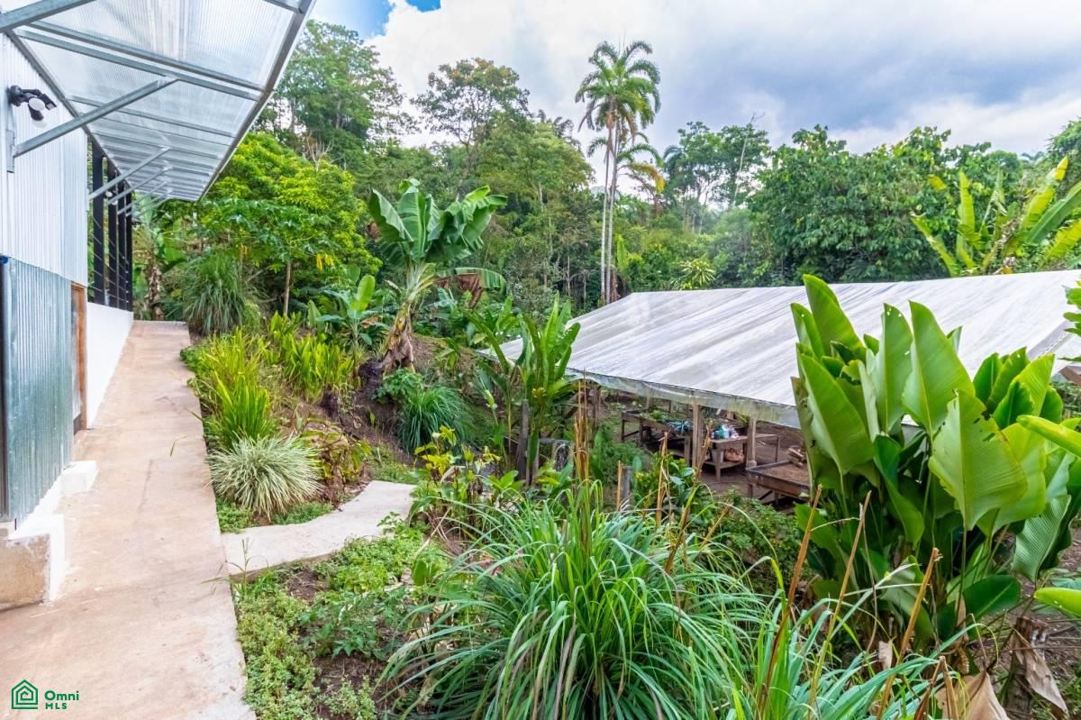Finca Pura Vida Perez Zeledon, Cajón, Perez Zeledon, San Jose