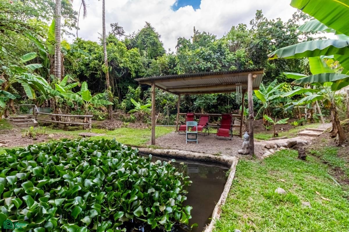 Finca Pura Vida Perez Zeledon, Cajón, Perez Zeledon, San Jose