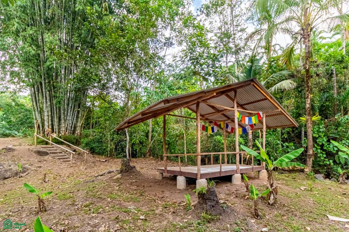 Finca Pura Vida Perez Zeledon, Cajón, Perez Zeledon, San Jose