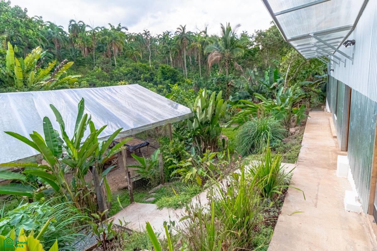 Finca Pura Vida Perez Zeledon, Cajón, Perez Zeledon, San Jose